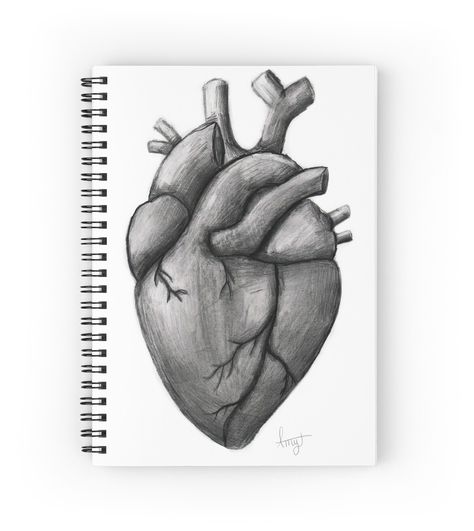 Anatomy Notebook Cover, Real Heart Drawing, Anatomy Notebook, Heart Pencil Drawing, Notebook Cover Ideas, Anatomical Heart Drawing, Human Heart Drawing, Draw Love, Journal Therapy