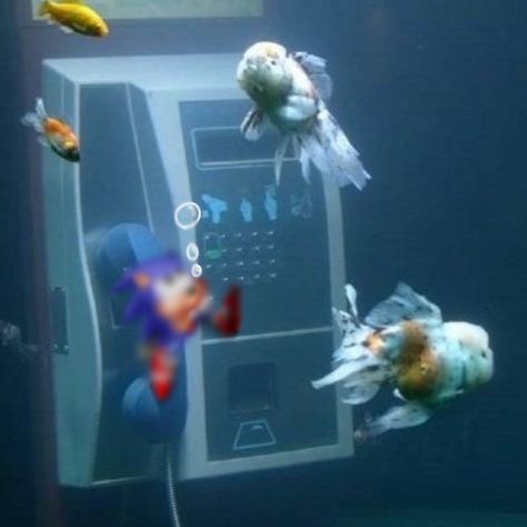 Telephone Booth, Phone Booth, Photo Images, Aquariums, Blue Aesthetic, Aesthetic Photo, Aesthetic Photography, Belle Photo, Fish Tank