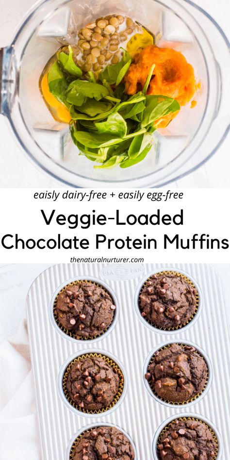 Veggie Loaded Chocolate Muffins, Protein Toddler Breakfast, Hidden Veggie Chocolate Muffins, Protein Fiber Muffins, Nutrient Dense Muffins, Kids Protein Muffins, Kid Friendly Protein Muffins, Vegetarian Recipes Protein, Infant Recipes