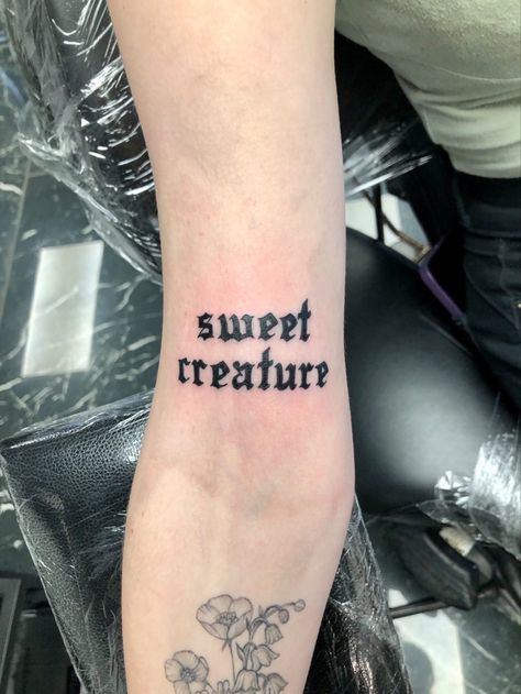 Harry Styles Tattoo Sweet Creature, Patchwork Tattoo Arms, Harry Styles Arm Tattoos, Sweet Creature Tattoo Harry Styles, Patchwork Tattoo Ideas Upper Arm, Blackwork Patchwork Tattoo, Sweet Creature Tattoo, Sweet Creature Harry Styles, Tattoo On Upper Arm