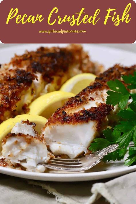 Pecan Crusted Fish, Lime Tilapia Recipes, Honey Lime Tilapia, Grouper Recipes, Grouper Fillet, Crusted Fish, Fish Fillet Recipe, Halibut Recipes, Fish Fillets