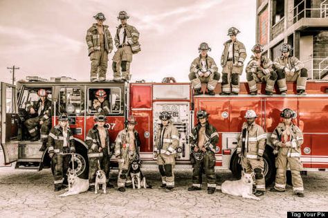 Firemen Pictures, Firefighter Photography, Firefighter Calendar, Firefighter Tools, Fire Hall, Funny Feeling, Thats All Folks, Man And Dog, Chicago Fire