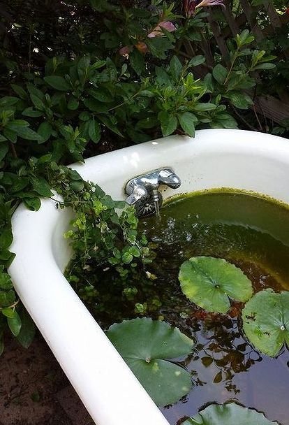 gardening clawfoot tub pond repurpose, gardening, ponds water features Bathtub Water Garden, Greenhouse Pond, Tub Pond, Pond Habitat, Garden Bathtub, Backyard Table, Diy Water Feature, Large Cottage, Garden Wagon