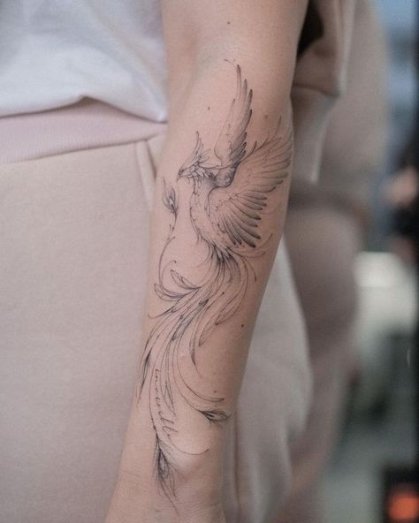 Phoenix Tattoo Placement For Women, Women Tattoo Shoulder, Fineline Phoenix Tattoo, Pheinox Bird Tattoo, Harry Potter Pheonix Tattoo For Women, Phoenix Tattoo Harry Potter, Phoenix Tattoo Ankle, Phoenix Line Tattoo, Harry Potter Phoenix Tattoo