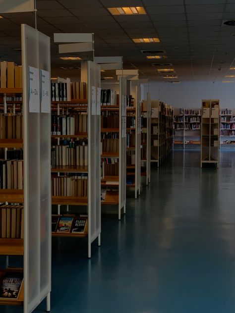 Books•Library•aestetic•dark acadademia Creepy Library Aesthetic, Liminal Library, Dark Library, Books Library, Library Aesthetic, Book Aesthetics, Bookcase, Room Divider, Lost