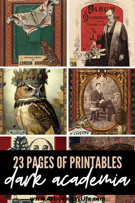 free printable dark academia pages - owls, moths, vintage portraits, moon, creepy man Dark Academia Free Printables, Dark Junk Journal, Free Victorian Printables, Dark Academia Junk Journal, Free Cottagecore Printables, Free Prints For Walls Printables, Free Steampunk Printables, Free Witchy Printables, Vintage Journal Ideas Free Printables