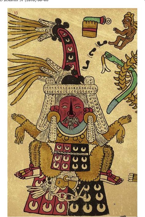 Maya Art, Aztec Culture, Indigenous Americans, Aztec Art, Lunar Cycle, Ancient India, Cotton Textile, Trippy Art, Glyphs