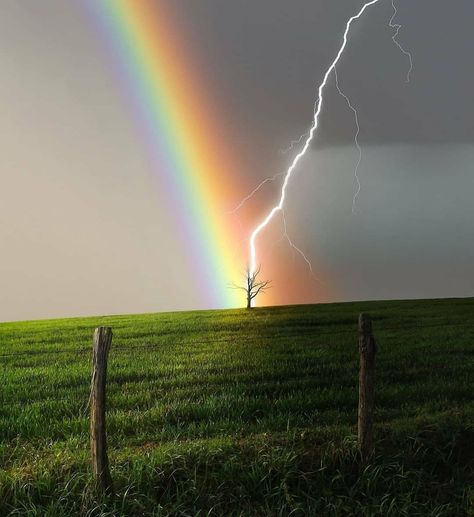 Photo Of Lightning, Rainbow And Lightning, Hailey Core, Thunderstorm Pictures, Lightning Pictures, Lightning Aesthetic, Lightning Images, Rainbow Lightning, Pictures Of Lightning