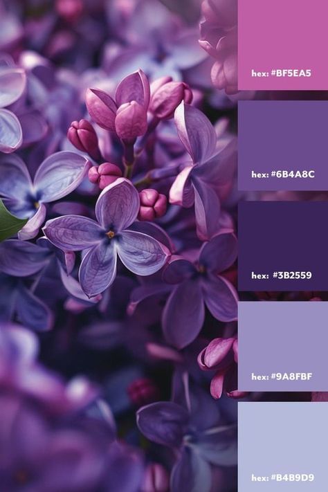 Color Schemes Colour Palettes Purple, Canva Purple Palette, Purple Flower Color Palette, Lilac Purple Color Palette, Lilac Colour Scheme, Shade Of Purple Colour Palettes, Lilac Branding Color Palette, Lilac Color Palette Colour Schemes, Purple Pallet Color