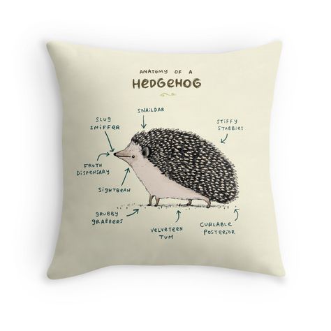 Hedgehog Accessories, Hedgehog Gifts, A Hedgehog, Hedgehog Art, Cute Hedgehog, Home Sofa, 20x20 Pillow Covers, Soft Pillows, My New Room