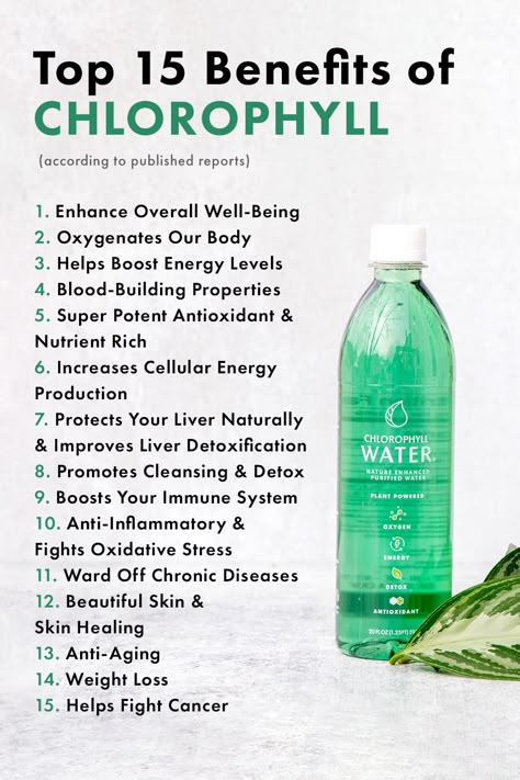 Benefits Of Chlorophyll, Chlorophyll Benefits, Chlorophyll Water, Liver Detoxification, Healing Waters, Boost Energy Levels, Natural Health Remedies, Skin Healing, Health Info