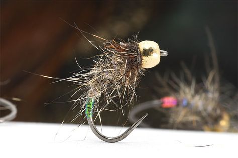 Best Trout Flies, Caddis Flies, Fly Box, Bugs And Insects, Trout Fishing, Fly Tying, Fly Fishing, I Am Awesome, Fish