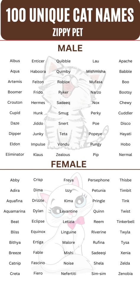 Cat Ideas Name, Pets Names Unique, Name Idea For Cat, Cat Names For Grey Cats, Cute Cat Names Female Unique, Name For Kittens, Male Cats Name, Cute Cat Names Aesthetic, Unique Cat Names Aesthetic