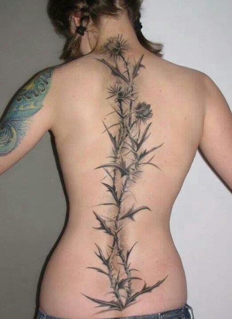 Spine tattoo,thorns Rabe Tattoo, Scottish Tattoos, Thorn Tattoo, Thistle Tattoo, Realistisches Tattoo, Tattoo Son, Flower Spine Tattoos, Chakra Tattoo, Girl Back Tattoos