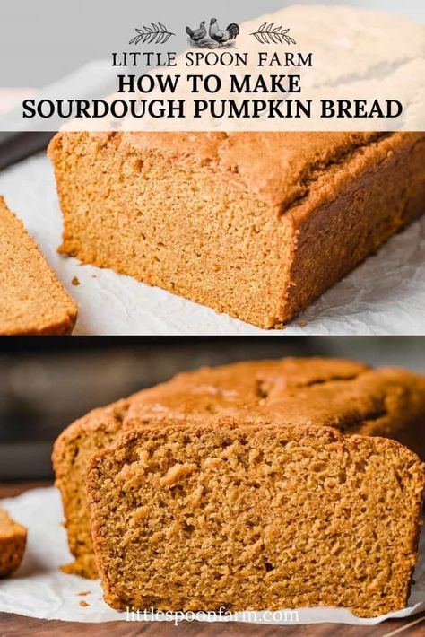 Sourdough Pumpkin Bread, Sourdough Sweets, Sour Bread, Little Spoon Farm, Homestead Plans, Pumpkin Sourdough, Sourdough Bakery, Sourdough Pumpkin, Recipe Using Sourdough Starter