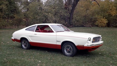 1976 Ford Mustang, Mustang Hatchback, Ford Mustang Classic, Amc Gremlin, 65 Mustang, Car Jokes, Amc Javelin, Mustang Ii, Ford Torino