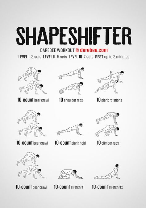 Shapeshifter Workout Wolf Workout, Fat Burning Home Workout, Lower Belly Fat Workout, Superhero Workout, Trening Sztuk Walki, Fat Burning Diet, Bizarre Facts, Body Exercises, Fit Board Workouts