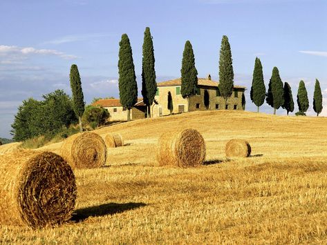 Tuscany Landscape, Tuscany Travel, Toscana Italy, Italy Landscape, Italy Painting, Sorrento Italy, Hay Bales, Naples Italy, Tuscany Italy