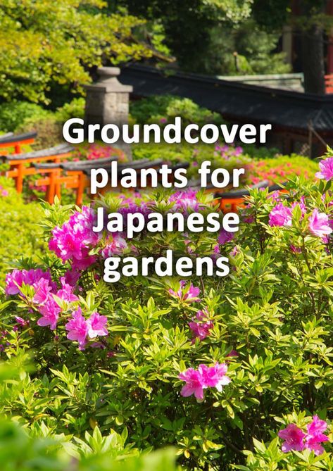 How to make a Japanese garden - An illustrated guide - BUCKINGHAMSHIRE LANDSCAPE GARDENERS Small Space Japanese Garden, Plants For A Japanese Garden, Garden With Japanese Maple, Japanese Garden Design Layout, Modern Japanese Garden Landscapes, Japanese Maple Garden, Groundcover Plants, Japanese Fence, Japanese Garden Style