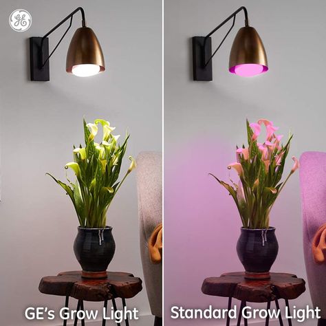 The Best LED Grow Lights for Indoor Plants and Herbs Indoor Plant Lights, Best Led Grow Lights, Light Spectrum, Flowers And Fruit, Led Decorative Lights, Growing Bulbs, Grow Light Bulbs, Grow Lamps, Grow Lights For Plants