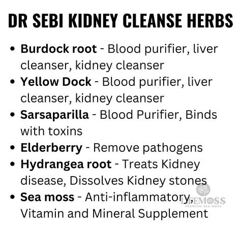 Hormones Balance, Herbal Tea Benefits, Herbal Remedies Recipes, Medical Herbs, Energy Balance, Kidney Cleanse, Balance Hormones, Dr Sebi, Natural Healing Remedies