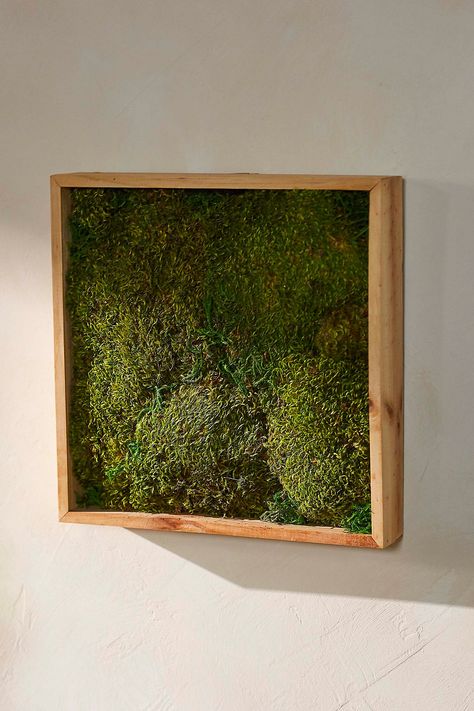 Create your very own moss wall with this framed mood moss. An excellent example of biophilic design, which can reduce stress, enhance creativity, clarify thought, and improve our overall wellbeing at home and at work. Diy Moss Wall, Diy Moss, Biophilic Design, Moss Wall, In Frame, Visual Artwork, Outdoor Garden Furniture, The Mood, Table Top Decor