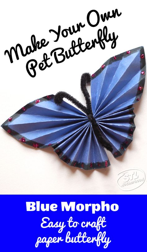 We love making these beautiful Blue Morpho butterfly from paper and fuzzy sticks. #kidcrafts #diy #butterfly Blue Morpho Butterfly Craft Preschool, Blue Morpho Butterfly Craft, Morpho Butterfly Craft, Geography Room, Butterfly From Paper, Origami Butterfly Instructions, Rainforest Classroom, Rainforest Butterfly, Rainforest Project