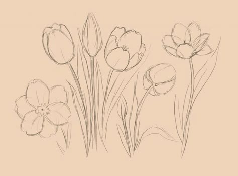 Tulip Drawing, Flower Drawing Tutorials, Flower Art Drawing, 강아지 그림, Flower Sketches, 수채화 그림, Japanese Graphic Design, Arte Sketchbook, Arte Inspo