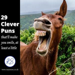 If you love clever puns then you’ve come to the right place. I’ve put together a collection of 29 witty one-liners that will make you smile. Puns Clever, Epic One Liners, Sassy Animals, Sarcastic One Liners, Bad Dad Jokes, Snarky Quotes, One Liners, Funny One Liners, One Liner Quotes