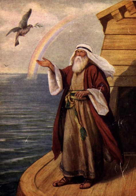 Noah and dove Noah Flood, Bible Timeline, Bible Images, Bible Illustrations, Noah S Ark, Bible History, Bible Pictures, Biblical Art, Noahs Ark