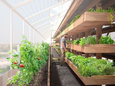 Greenhouse Farming, Roof Gardens, Aquaponics Diy, Vertical Farming, Urban Agriculture, Aquaponics System, Tower Design, Garden Architecture, Green Architecture