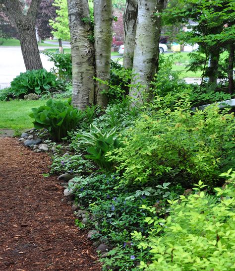 Book Landscape, Landscape Gardening, Three Dogs, Forest Garden, Woodland Garden, Garden Pathway, Back Gardens, Shade Plants, Garden Cottage