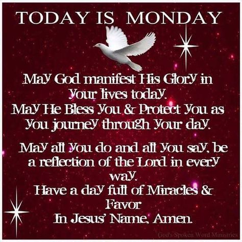 May your Monday be full of miracles & God’s favor. Wishing everyone a marvelous Monday! #HappyBlessedSafeMonday Marvelous Monday, Give Me Strength Quotes, Gratitude Quotes Thankful, Monday Prayer, Today Is Monday, Faith Quotes Inspirational, Christian Motivational Quotes, Monday Motivation Quotes, Happy Wednesday Quotes