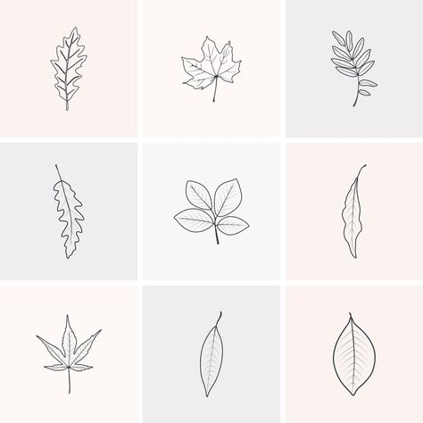 Simple Autumn Tattoo, Autumn Flash Tattoo, Single Leaf Tattoo, Autumn Leaf Tattoo, Autumn Leaves Tattoo, Autumn Line Art, Sketchbook Fillers, Fall Leaves Tattoo, Autumn Vector