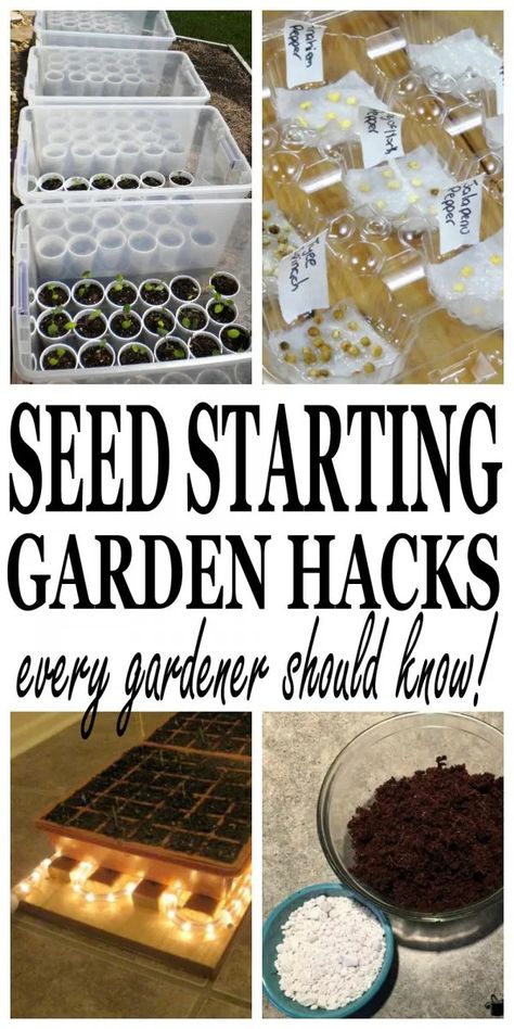 Growing A Garden, Eating Fresh, Garden Hacks, Organic Vegetable Garden, Home Vegetable Garden, Organic Gardening Tips, Hydroponic Gardening, Organic Vegetables, Seed Starting