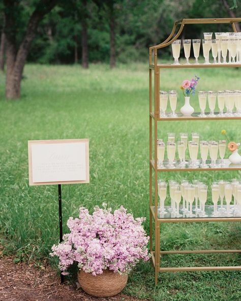 Cindy and Paul’s guests were greeted with champagne when they arrived for the wedding ceremony. They were then directed down a nature trail back to the garden for the ceremony. Along the way were signs filled with fun facts about the couple. Guests were able to be led in the right direction while enjoying the walk with a sip of champagne and having fun getting to know the couple a little more! ⠀⠀⠀⠀⠀⠀⠀⠀⠀ We know how special your guests are to you and we try our best to prioritize their experie... Champagne Before Wedding Ceremony, Austin Texas Wedding, Raleigh Wedding, Ceremony Music, Nontraditional Wedding, Wedding Mood Board, The Walk, Austin Wedding, Nature Trail