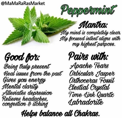 Peppermint Magical Properties, Rose Petals Magical Properties, Magickal Correspondences, Tea Magic, Medicinal Herbs Garden, Witch Herbs, Herbs Garden, Herb Gardens, Gardening Inspiration