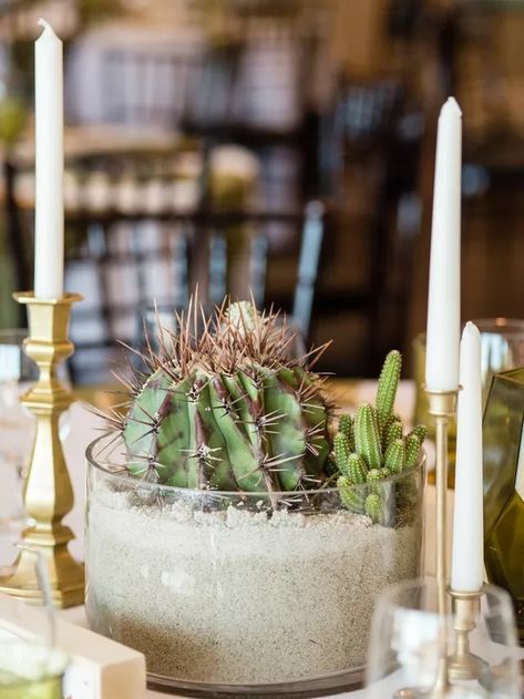 Cactus Wedding Centerpieces, Desert Themed Wedding, Western Wedding Cakes, Cactus Centerpiece, Western Wedding Decorations, Succulent Wedding Centerpieces, Western Wedding Invitations, Western Themed Wedding, Cactus Wedding