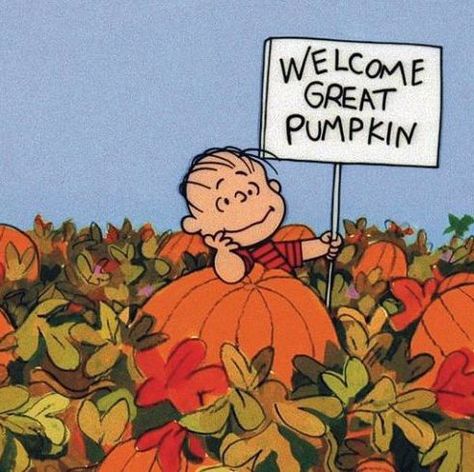 Because it's not fall without the great pumpkin. Welcome Great Pumpkin, The Great Pumpkin Charlie Brown, It's The Great Pumpkin Charlie Brown, Great Pumpkin Charlie Brown, It's The Great Pumpkin, The Great Pumpkin, Great Pumpkin, Charlie Brown, Pumpkins