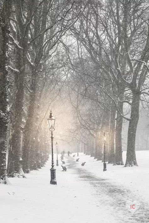 Art print “Snow In London” by Ruby and B shows a photograph of a snowy path through a park lined in trees, park benches, and lamp posts. iCanvas offers canvas art and framed paper prints in a variety of sizes and frame styles. Every work of art is hand-made to order by our in-house team, using only premium materials to ensure you heart your art. We have sales every week, click-thru to see today’s pricing! #winter #snow #photography #london #decor #art #park #path #wallart #icanvas Snow In London, Snowy Path, London Snow, London Decor, Art Park, Snow Photography, Photography London, Winter Photos, Winter Wallpaper