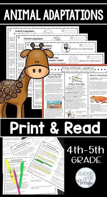 A reading unit for Animal Adaptations. It includes 4 selections at two different elementary levels with reading comprehension skill-based questions. Also includes a newspaper mock-up about animals with 3 graphic organizers provided. All answer keys are included! Easy-peasy- Just Print and Read! #animaladaptations #Readingsheets Informational Text Features, Animal Adaptations, Reading Unit, Fiction Text, Reading Comprehension Skills, Fiction Idea, Nonfiction Texts, Stem Challenges, About Animals