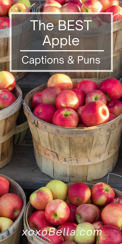 Groundbreaking, especially when combined with endless hours of brainstorming for the best apple Instagram captions, right? It doesn’t matter how cliché it is — once the air starts to get crisp, something about picking your own fresh apples from the orchard while enjoying some apple cider, surrounded by a fresh mountain breeze and a great view, just feels right. Apple puns and apple captions are what you will need for your pics for the ‘gram. Apple Display Table, Apple Festival Decorations, Apple Sayings For Bulletin Boards, Apple Sayings Fall, Apple Sayings For Teachers, Apple Puns For Teachers, Apple Cider Quotes, Apple Pie Quotes, Apple Festival Ideas