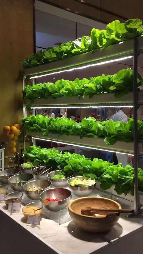 Hydroponic Gardening Aesthetic, Kitchen Hydroponic Garden, Hidroponico Ideas, Hydroponics Aesthetic, Indoor Hydroponic Garden, Indoor Farming At Home, Gardening Tattoo, Hydroponic Gardening System, Gardener Aesthetic