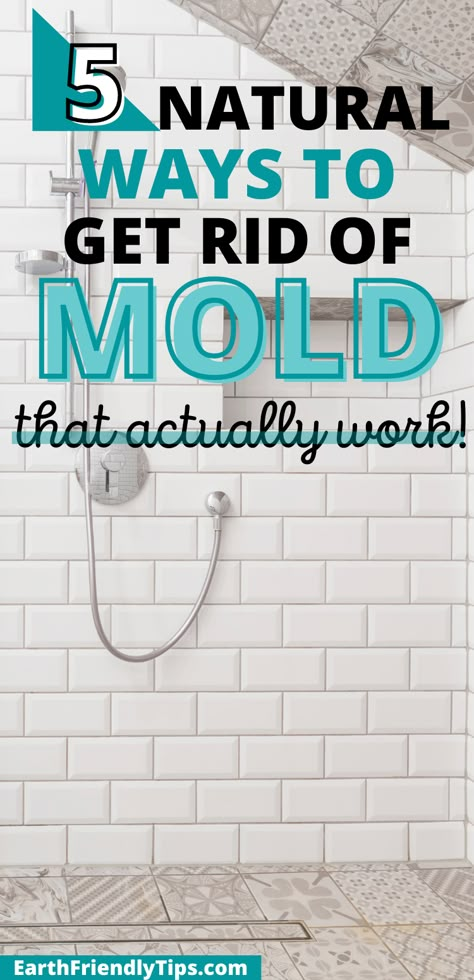 Shower Mold Cleaner, Mold On Bathroom Ceiling, Mold Cleaner, Kill Mold, Shower Mold, House Cleaning Tips And Tricks, Mold And Mildew Remover, Homemade Cleaning Supplies, Mold In Bathroom