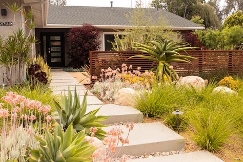 Lara Shaner — FALLING WATERS LANDSCAPE Front Yard Entertaining, Front Yard Entertaining Area, Mid Century Modern Landscaping, Palm Springs Landscaping, Desert Landscaping Backyard, Falling Waters, Drought Tolerant Landscape, Front Courtyard, Front Yard Design