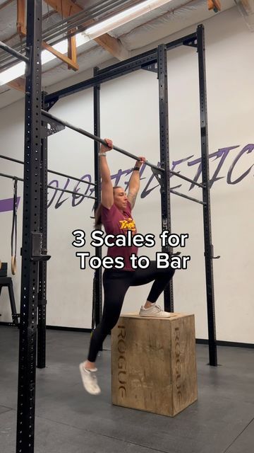 Knee Raises, Toes To Bar, Building Strength, The Program, Scales, Crossfit, Work On, To Work, Train