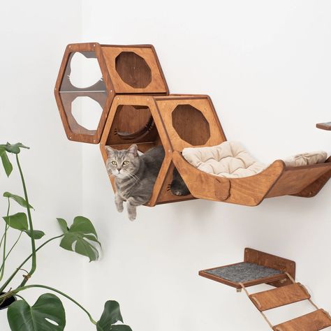 Modern Cat Wall Furniture: Wood Hexagon Shelves for Cats by CatsMode • Kritter Kommunity Cat Climbing Wall Shelves, Wall Cat Shelves, Cat Feeding Shelf, Cat Climbing Shelves, Cat Climbing Wall, Cat Stairs, Wood Hexagon, Cat Wall Shelves, Shelves For Wall