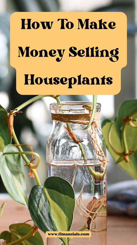 How to make money selling houseplants from home Selling Propagated Plants, How To Sell Plants Online, Sell Plants From Home, How To Sell Plants From Home, Plant Buisness Ideas, Selling Plants At Farmers Market, Starting A Plant Business, How To Start A Plant Business, Plant Selling Ideas