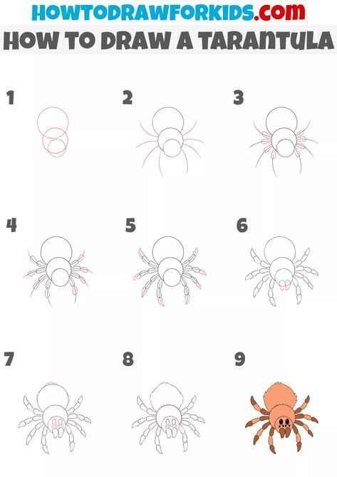 How to Draw a Tarantula - Easy Drawing Tutorial For Kids How To Draw A Tarantula, Cute Tarantula Drawing, Insect Doodles, Tarantula Drawing, Easy Halloween Drawings, Cheetah Drawing, Hard Drawings, Drawing Ideas For Kids, Easy Animal Drawings