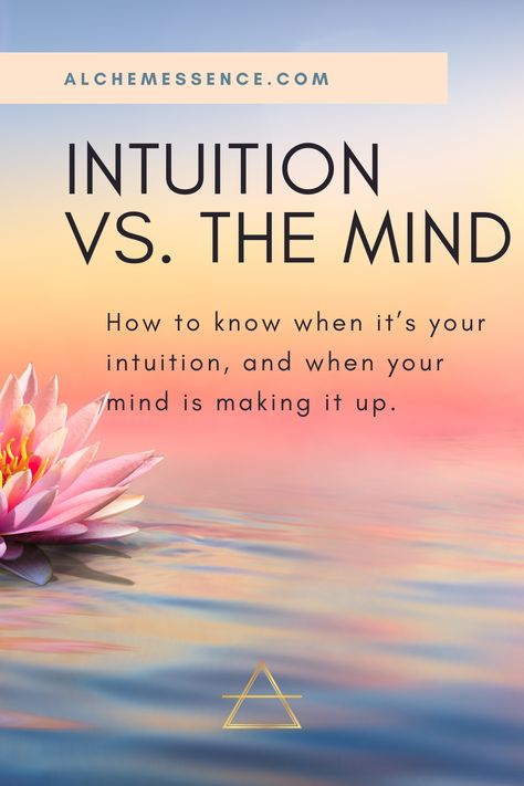 Um...Maybe It's Not Your Intuition (how to tell true guidance from mind chatter) Increase Intuition, Shamanic Healing, Hygiene Routine, Scientific Method, Energy Field, What To Make, Good Energy, Spiritual Practices, Reading List